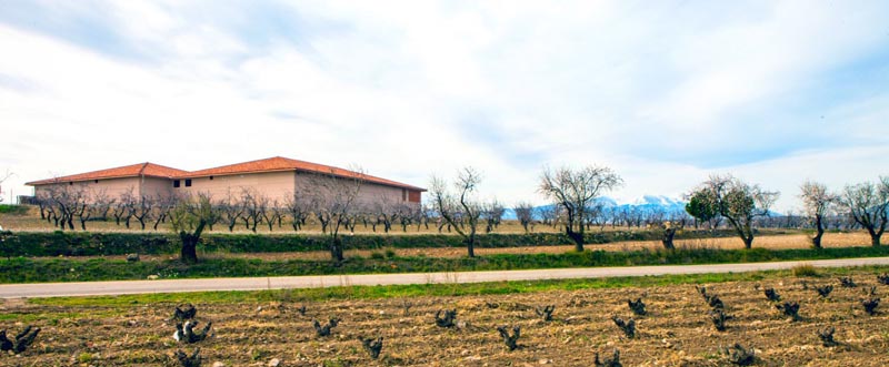 Bodegas Alto Moncayo Veraton Garnacha